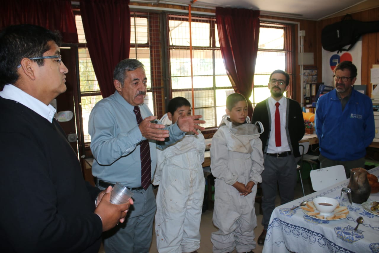 ESCUELA DE HUITRANLEBU INNOVADOR TALLER DE APICULTURA ﻿
