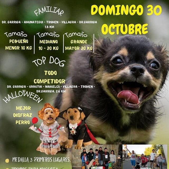 En Purén 5ta. PERRUNIG BUSCANDO A LOS «TOP DOG»EL DOMINGO 30 DE OCTUBRE