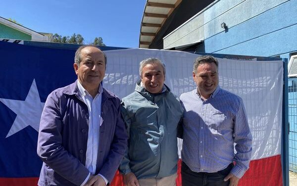 LOS  SAUCES  AYUDA A PURÉN