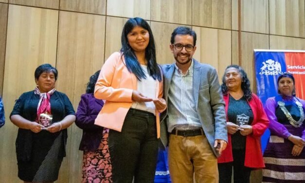 NELLY  LLEBUL, ASISTENTE SOCIAL DE PURÉN  RECONOCIDA A NIVEL PROVINCIAL