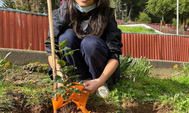 ALUMNOS  DE ESC «P DE OÑA» EN ARBORIZACIÓN PARQUE HISTÓRICO. EN PUREN