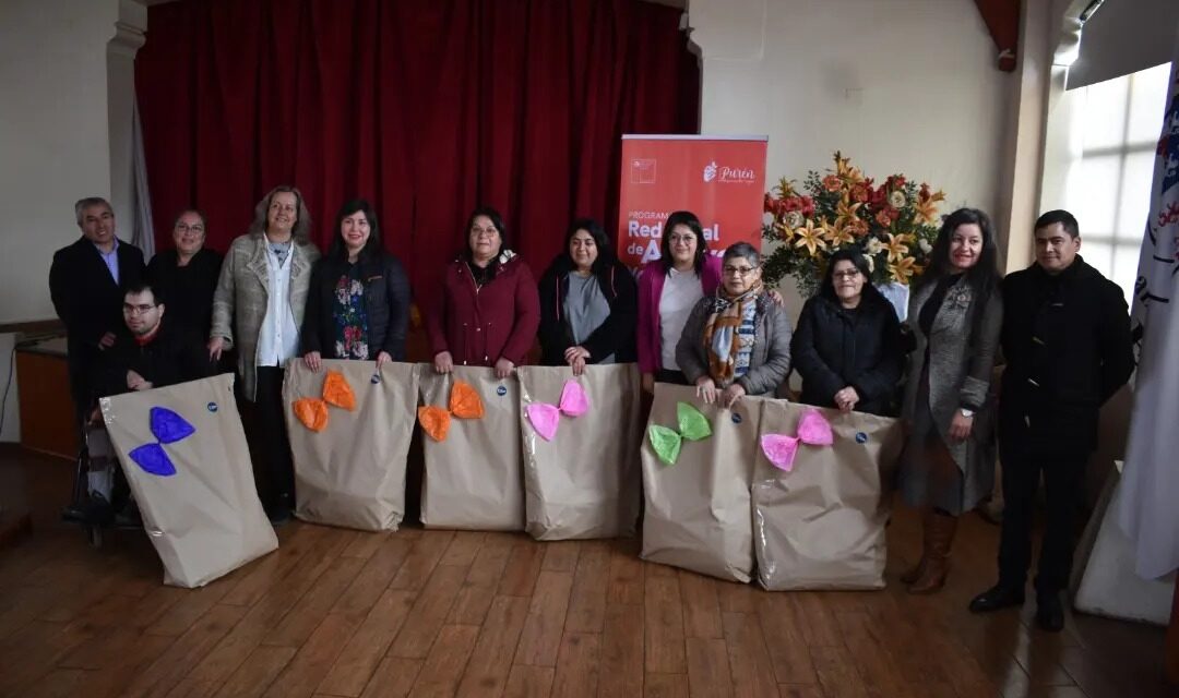 USUARIOS DE LA RED LOCAL DE APOYOS Y CUIDADOS DE PURÉN, RECIBIERON AYUDAS TÉCNICAS DEL MINISTERIO DE DESARROLLO SOCIAL