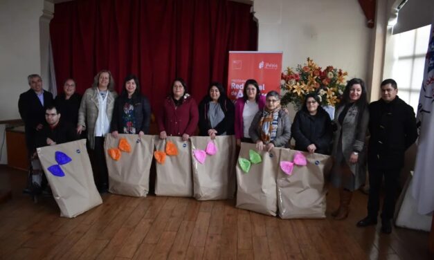 USUARIOS DE LA RED LOCAL DE APOYOS Y CUIDADOS DE PURÉN, RECIBIERON AYUDAS TÉCNICAS DEL MINISTERIO DE DESARROLLO SOCIAL