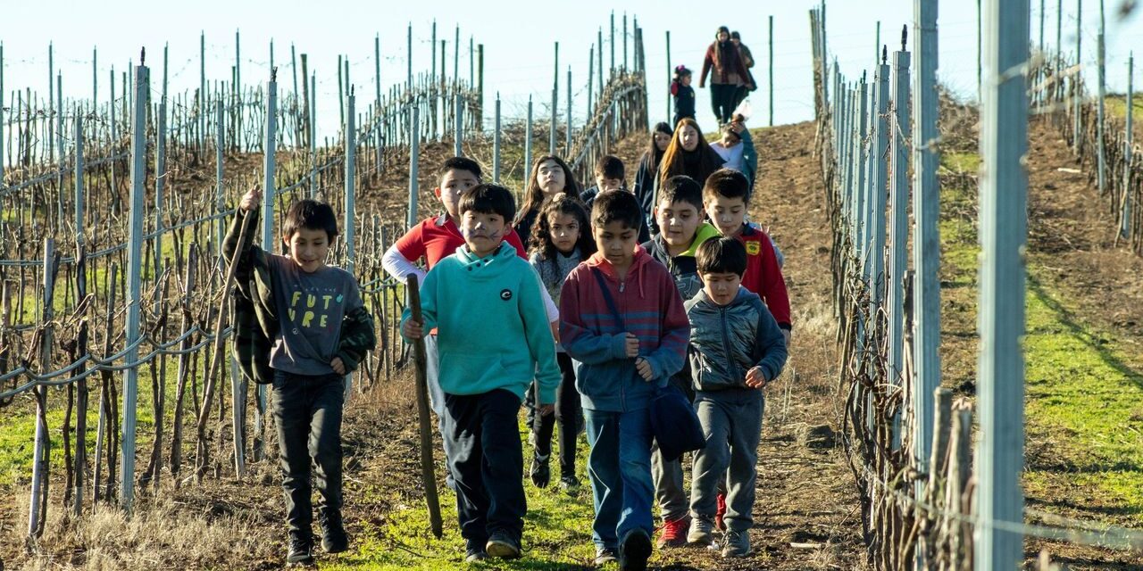 PROGRAMA DE 4 A 7: ESTUDIANTES VIAJARON A CONOCER LAS VIÑAS DE «BUCHAHUEICO», EN PURÉN