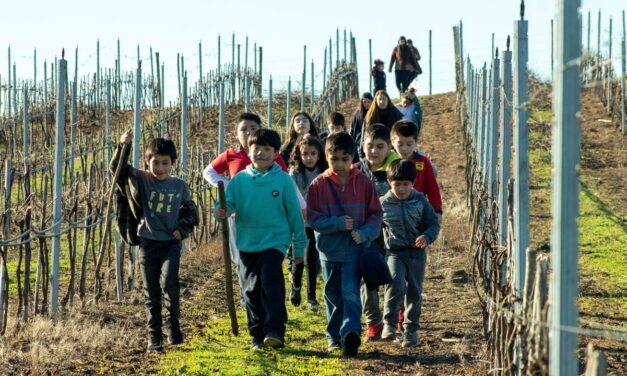 PROGRAMA DE 4 A 7: ESTUDIANTES VIAJARON A CONOCER LAS VIÑAS DE «BUCHAHUEICO», EN PURÉN