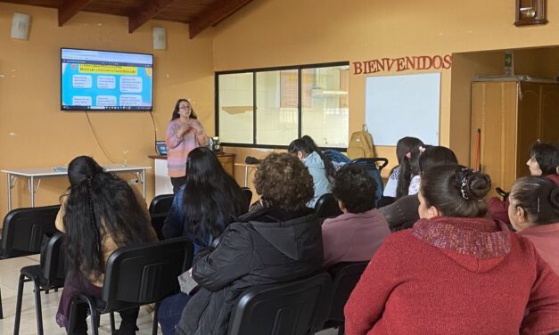 FAMILIAS DE ORIGEN Y TUTORAS DEL PROGRAMA RESIDENCIA FAMILIAR ESTUDIANTIL PARTICIPARON DEL TALLER “HABILIDADES PARENTALES», EN PURÉN