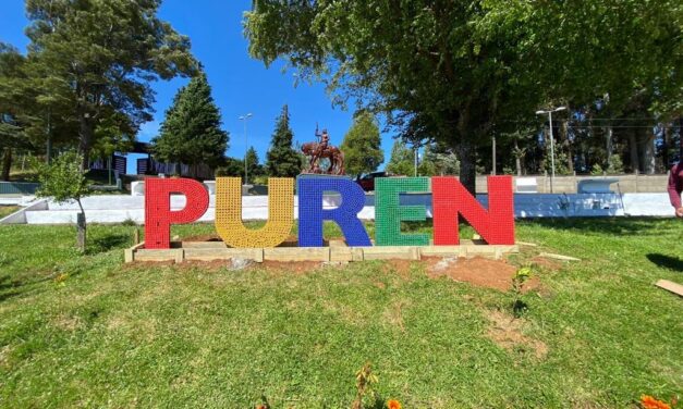 HERMOSA POSTAL DE PURÉN