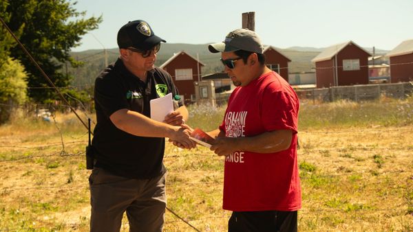 CERCA DE 90 FUNCIONARIOS  MUNICIPALES RECORRIERON LA COMUNA PURÉN EN  CAMPAÑA DE PREVENCIÓN DE INCENDIOS