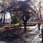 COGRID DE PURÉN