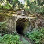 PURÉN, DONDE LA HISTORIA, EL BOSQUE Y SU GENTE CONSTRUYEN UN DESTINO CON IDENTIDAD
