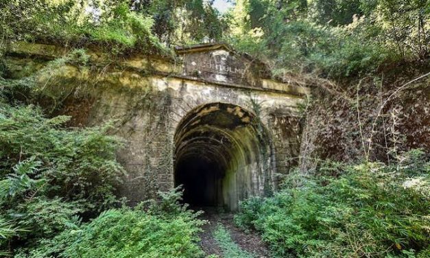 PURÉN, DONDE LA HISTORIA, EL BOSQUE Y SU GENTE CONSTRUYEN UN DESTINO CON IDENTIDAD