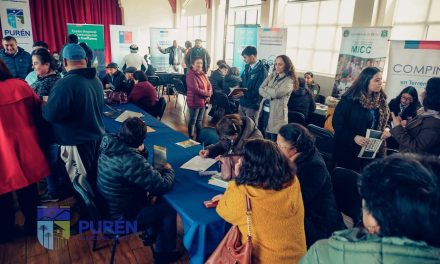 GOBIERNO EN TERRENO: SERVICIOS PÚBLICOS A LA COMUNIDAD EN PURÉN