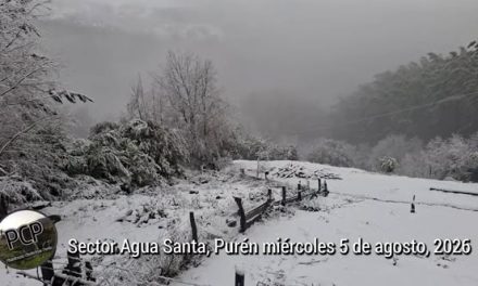 NIEVE  EN AGUA SANTA, EN PURÉN