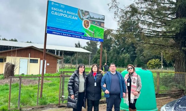 JEFA PROV.  DE EDUC. DE MALLECO,  VISITA PURÉN
